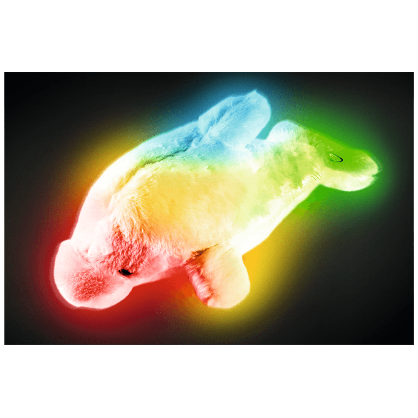 10967_1686223956s19lam9n9c