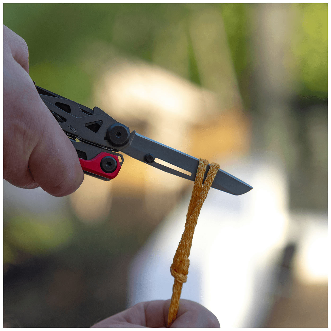 19318_16862549627dogitizvo