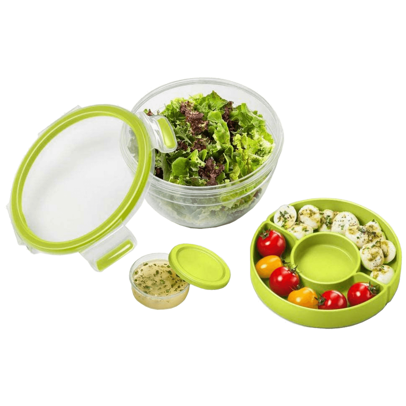 25786_1686273825b9a94b85pt