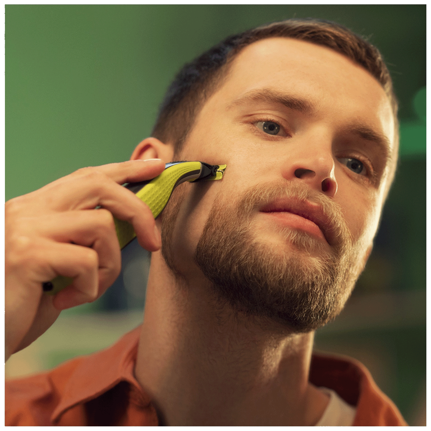 42223_1729497553dimek5bh19