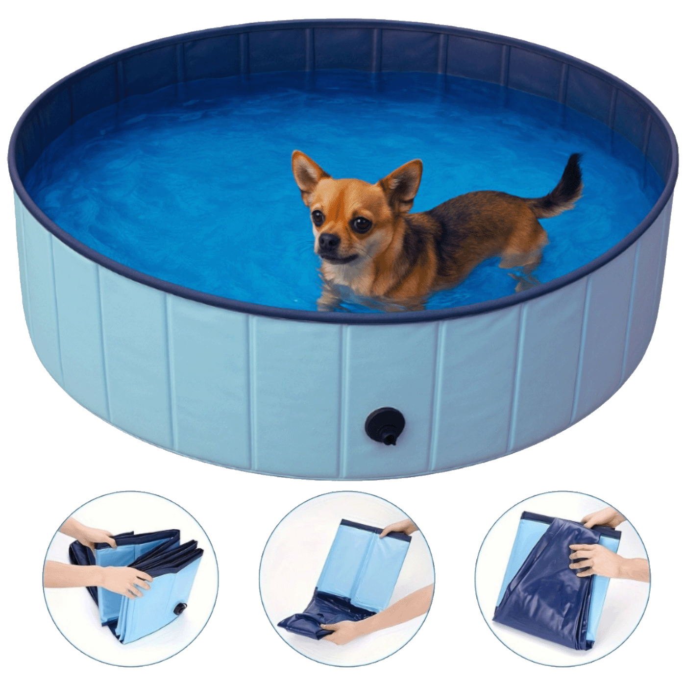 64435_175266728876rvctyd61