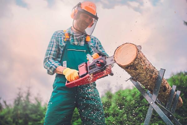 einhell-pxc-aku-lanCana-pila-ge-lc-36-35-li-bl-solo-13769_1920x1920