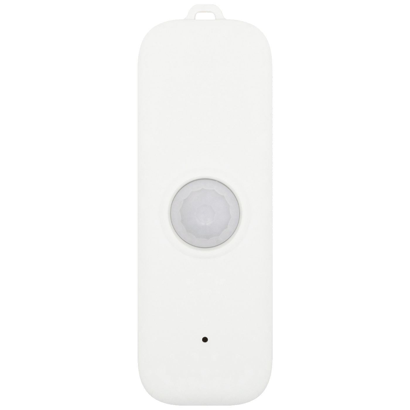 66573_17570582589lim8j4pt0