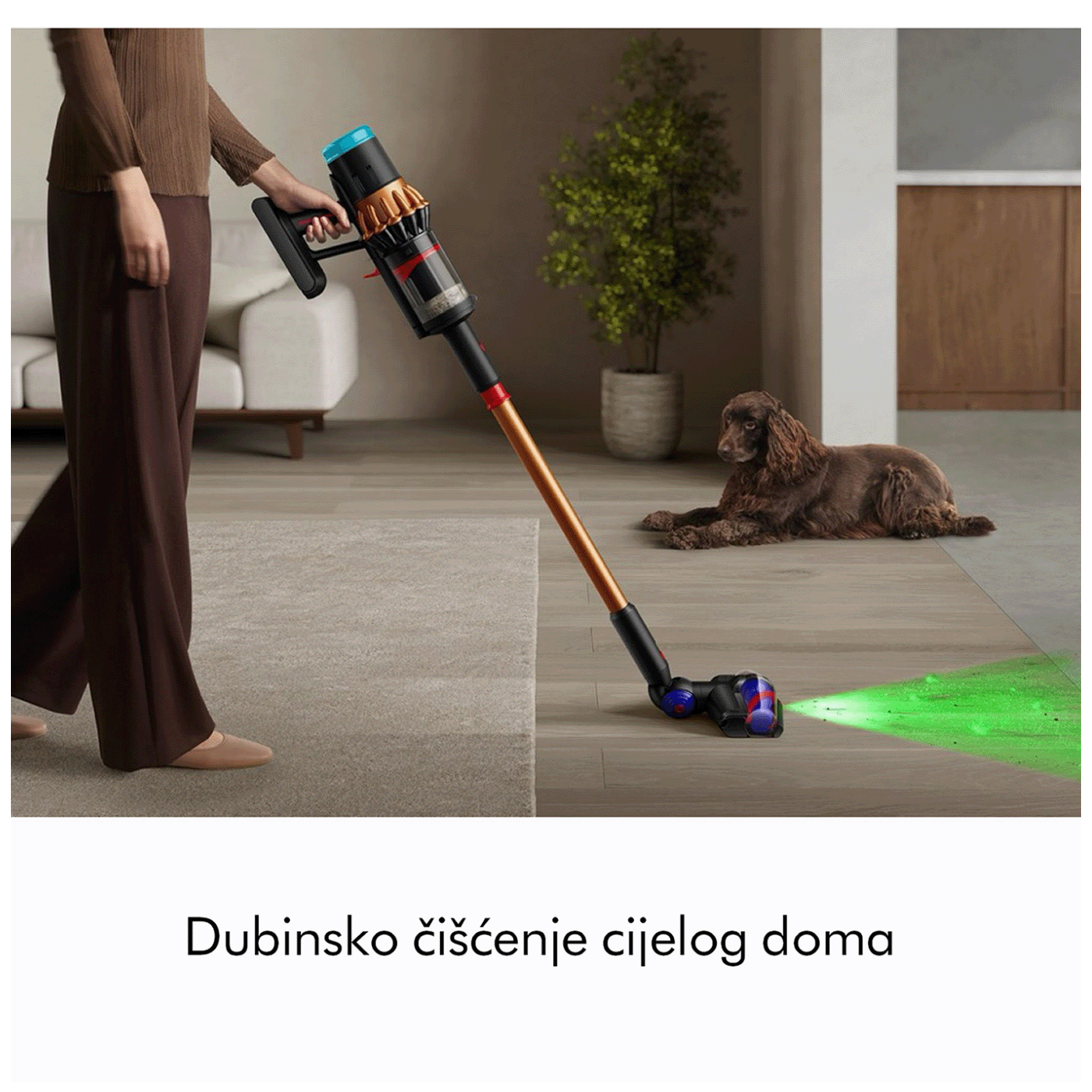 67650_1758696517ef26oz4ur9