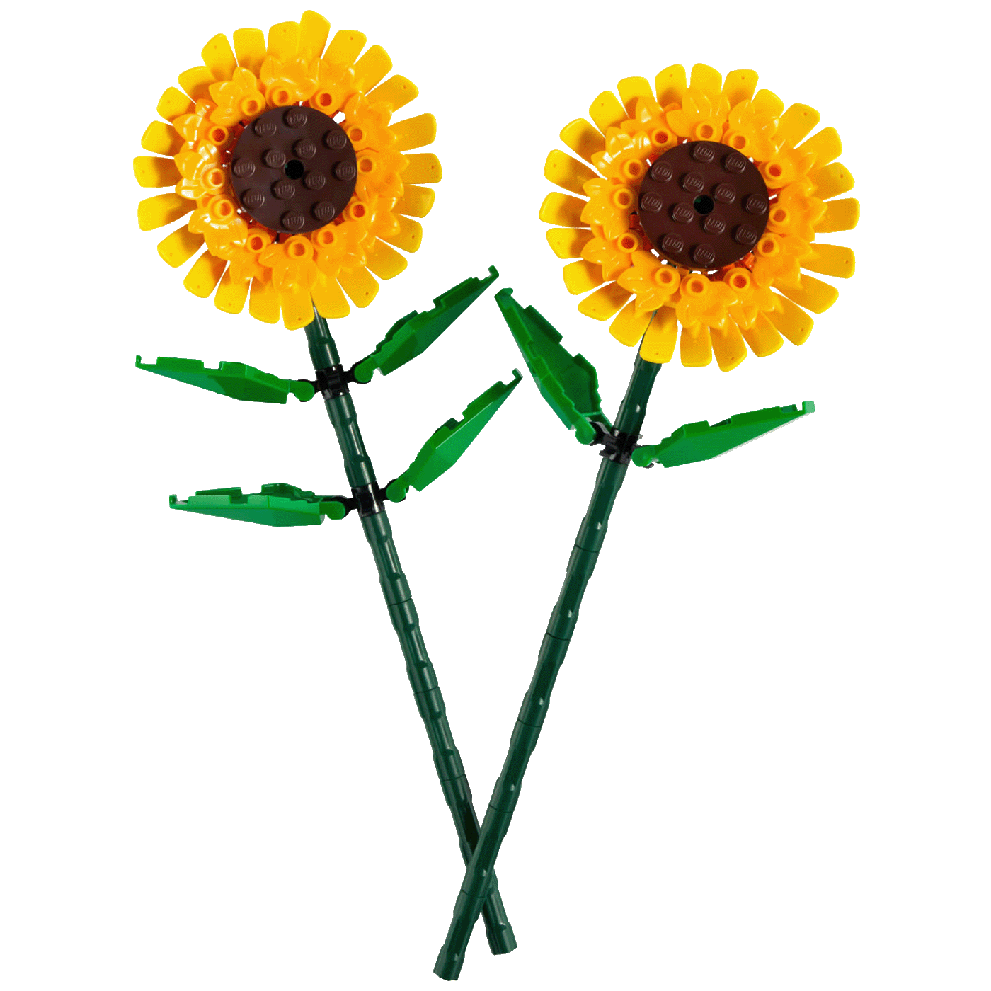 55601_17618149854oujnzhktk