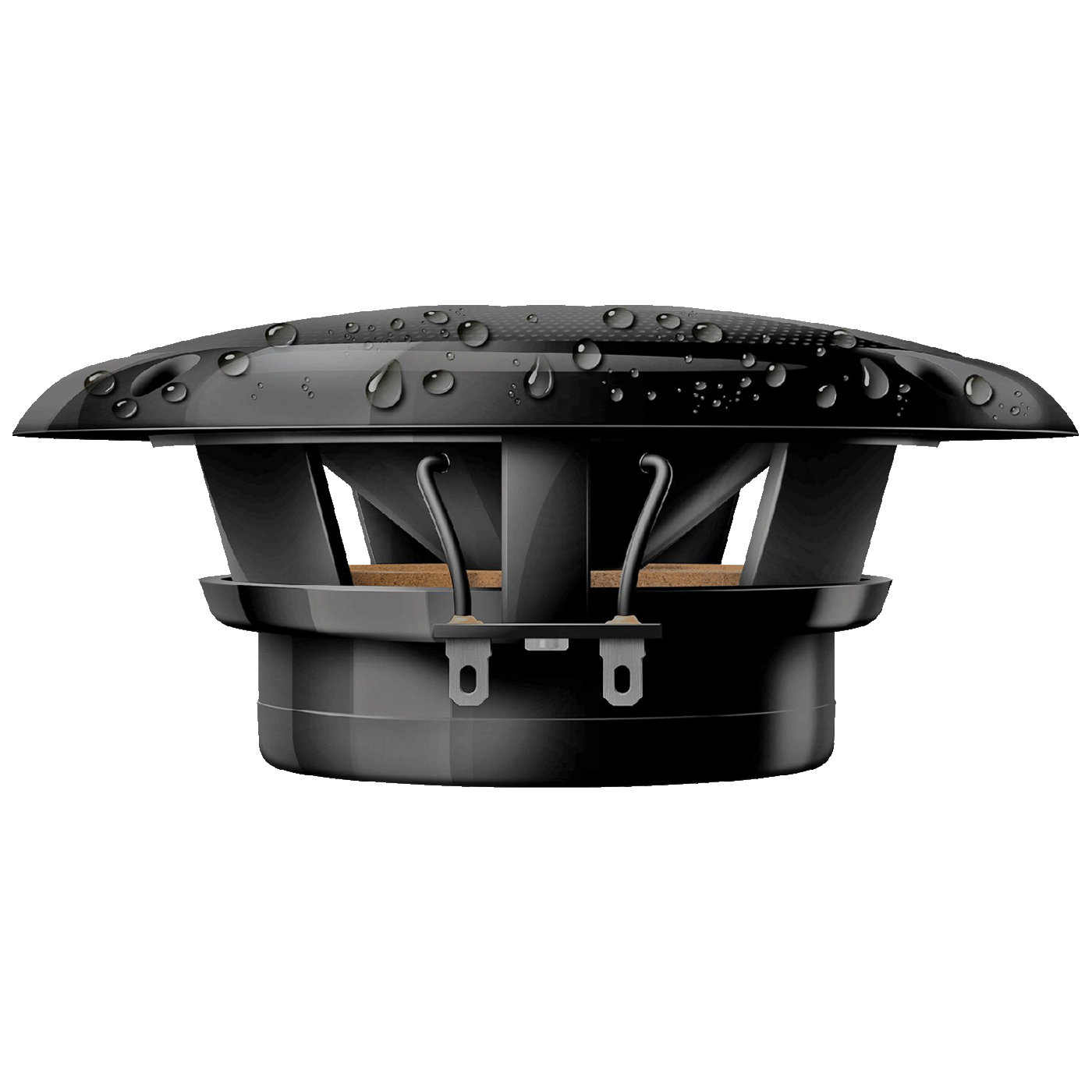 71803_1769240708n0tc823m3l