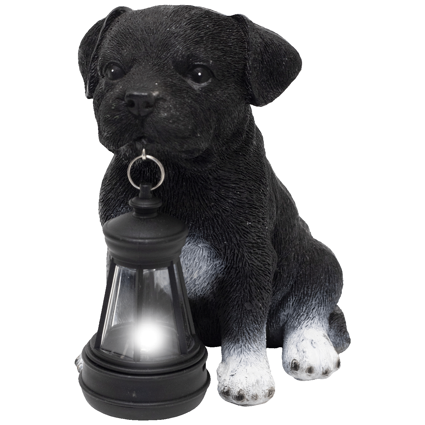 75971_1773824466s2u6fz7vsf