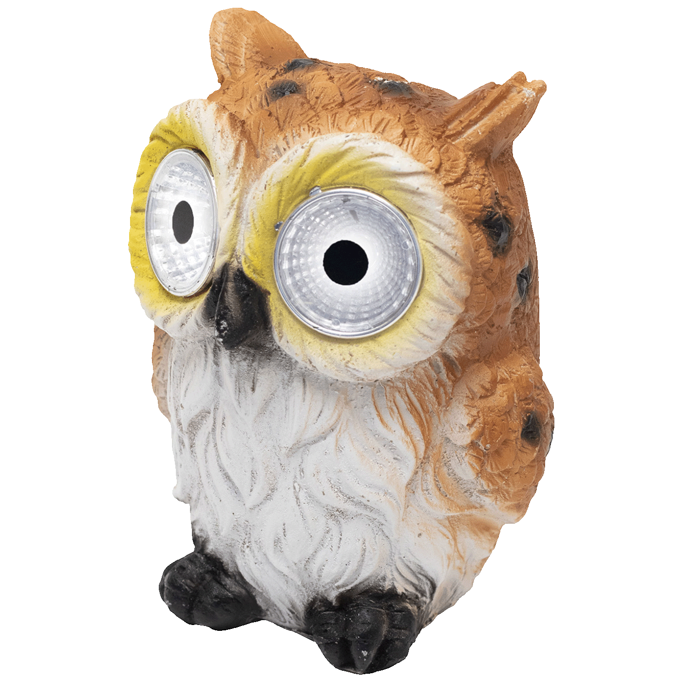 75972_177382579995emeo2nc2